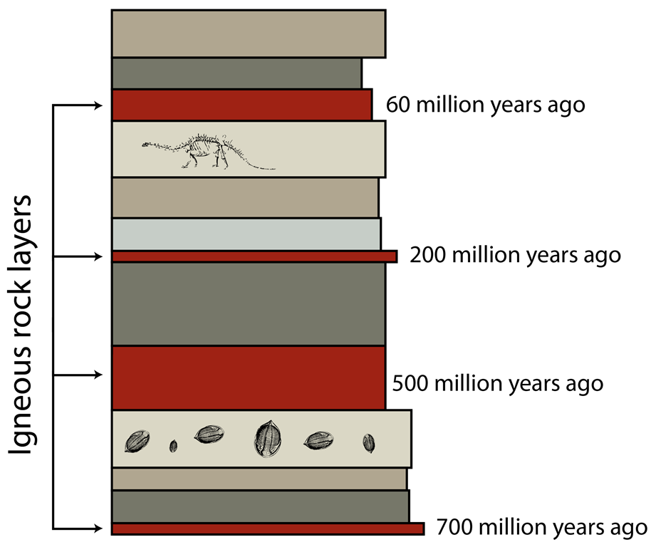 Relative dating of fossils