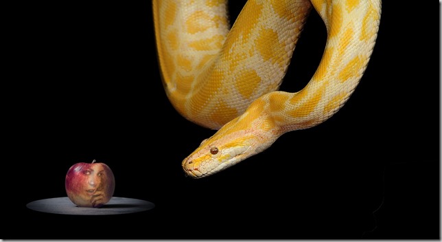 Snake and an Apple