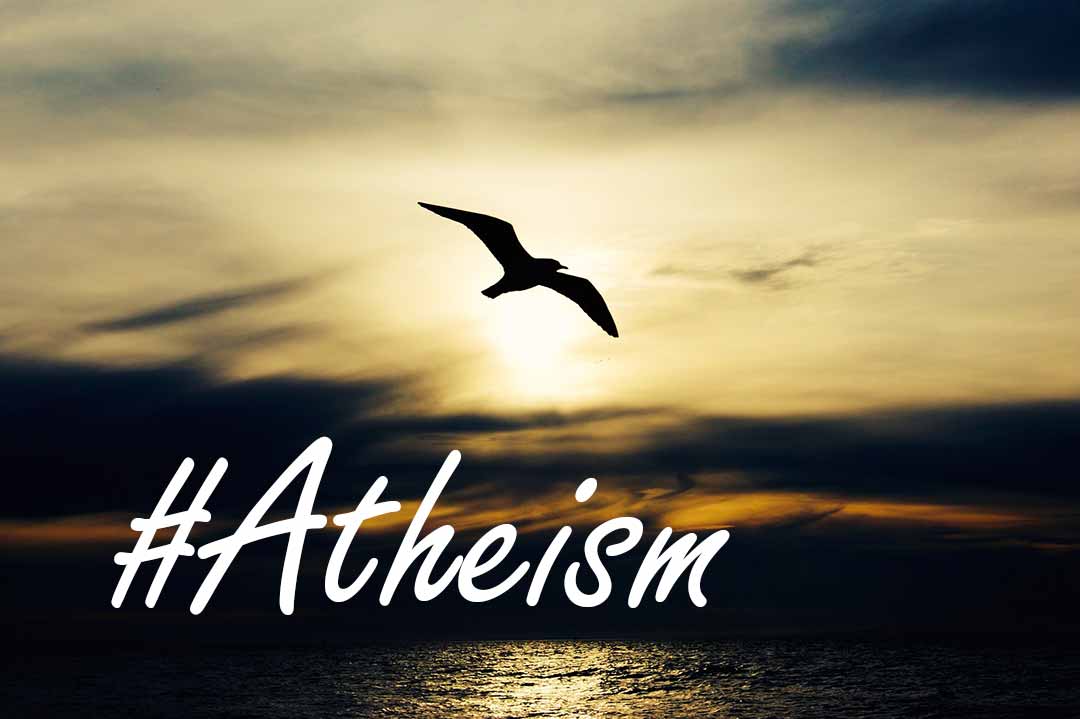 #Atheism written on a image of a sea bird in flight