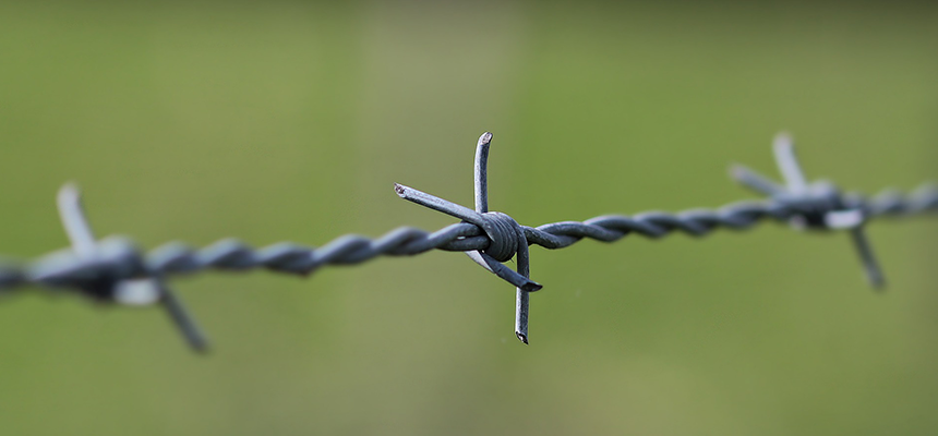 Barbed Wire